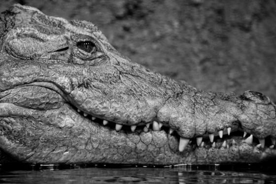 Meurtres & Mystères à domicile - Accès aux épisodes 