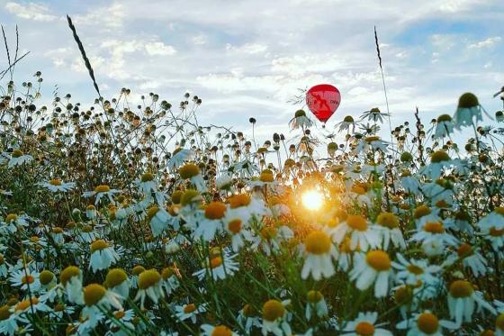 Vol en montgolfière - Vol 