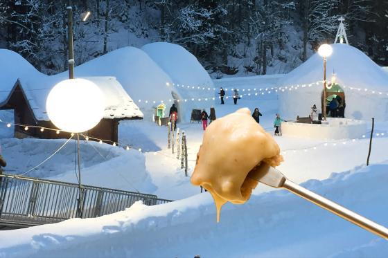 Menù con fonduta in un igloo - Per 2 persone, al Village des Neiges a Leysin (VD)  