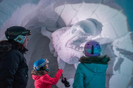 Nuitée en igloo pour 2 personnes - à Avoriaz avec fondue, apéritif et dessert | en semaine 6 