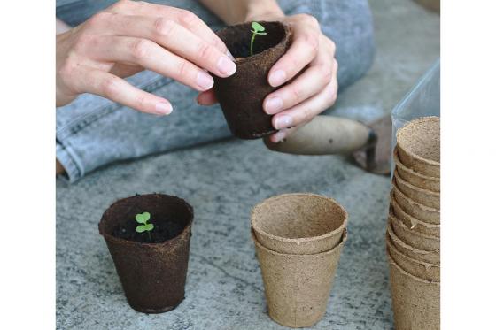 Saatgut-Jahresabo - 12 monatliche Bio-Saatgut Sendung von Urbanroots 1 