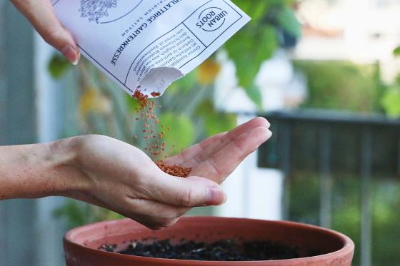 Saatgut-Jahresabo - 12 monatliche Bio-Saatgut Sendung von Urbanroots 4 