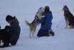 Husky exclusif - Family Day avec soirée fondue 11