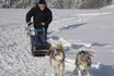 Avventura esclusiva husky - Giornata in famiglia 15