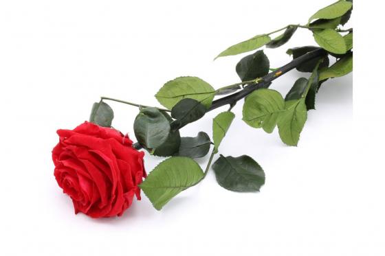 XL Romantik Geschenkset - inkl. Wishbox romantische Auszeit 4 