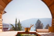 Sauna & repas face au Léman - Menu à 2 plats et accès de 2 heures au sauna