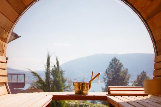 Sauna & repas face au Léman - Menu à 2 plats et accès de 2 heures au sauna  