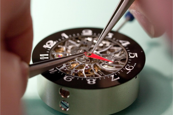 Réalisez votre montre mécanique - Initiation à l'horlogerie + assemblage de sa montre 5 