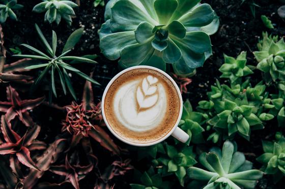 Kaffeeabo - 3 x 4 Kaffeepakete  