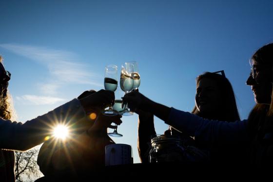 Montgolfière au lac de Sempach - 1h de vol pour 1 personne, avec photos et apéritif inclus 1 