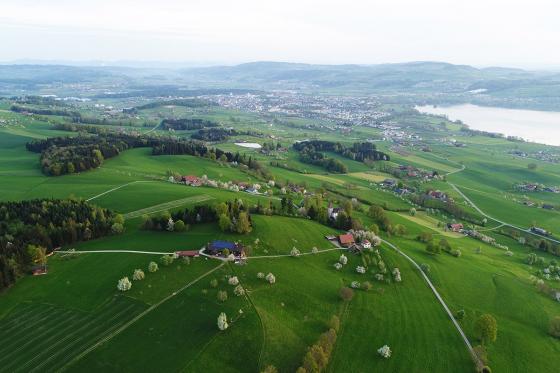 Montgolfière au lac de Sempach - 1h de vol pour 1 personne, avec photos et apéritif inclus 16 