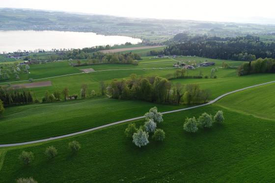Montgolfière au lac de Sempach - 1h de vol pour 2 personnes, avec photos et apéritif inclus 13 