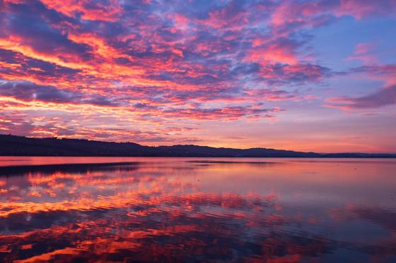 Montgolfière au lac de Sempach - 1h de vol pour 2 personnes, avec photos et apéritif inclus 14 