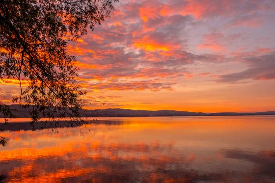 Montgolfière  au lac de Sempach - Vol privé de 1h pour 4 personnes  3 