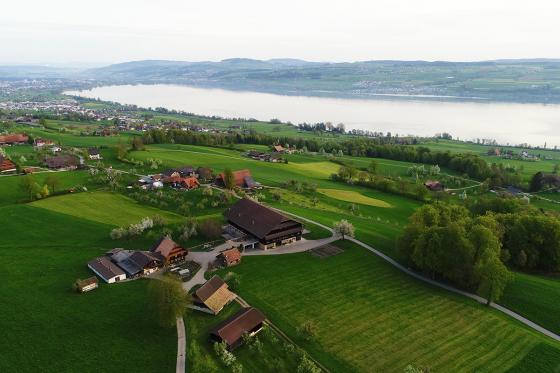 Montgolfière  au lac de Sempach - Vol privé de 1h pour 4 personnes  11 