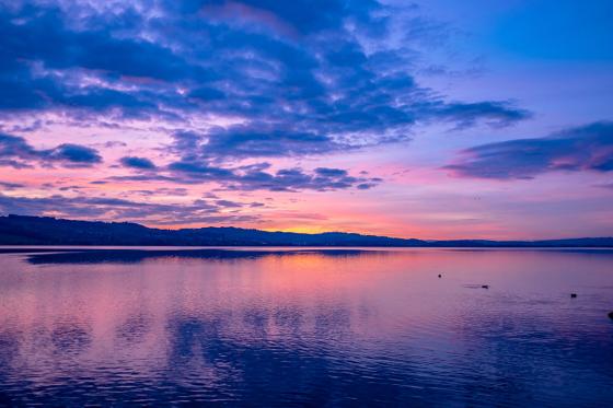 Montgolfière  au lac de Sempach - Vol privé de 1h pour 4 personnes  14 