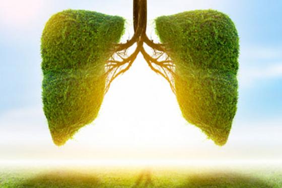 Arrêter de fumer - 2 sessions de traitement laser avec suivi annuel inclus 3 