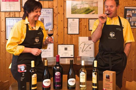 Dégustation de vins pour 2 - Bon de CHF 50.-, balade libre & plateau Valaisan inclus 12  Dégustation de vins pour 2 - Bon de CHF 50.-, balade libre & plateau Valaisan inclus 12