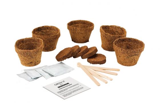 Grow it - Bier Hopfen 2 