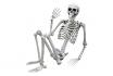 Squelette à taille humaine - 170 cm 1