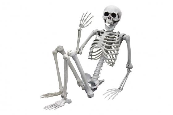 Squelette à taille humaine - 170 cm 1 