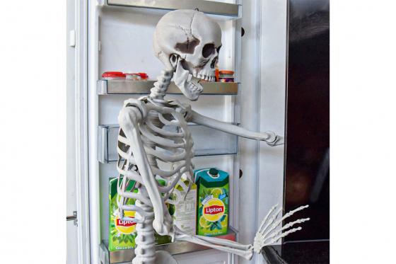 Squelette à taille humaine - 170 cm 5 