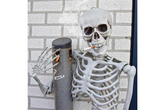 Squelette à taille humaine - 170 cm 6 