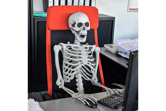 Squelette à taille humaine - 170 cm 8 