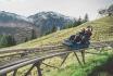 Genusswanderung in Graubünden - inkl. Rodelbahn Abfahrt für 1 Person 