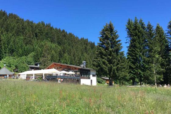 Genusswanderung in Graubünden - inkl. Rodelbahn Abfahrt für 1 Person 6 