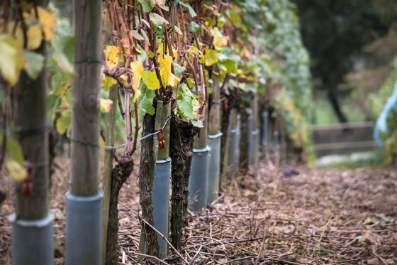 Mystery-Kurzurlaub mit dem Velo - 1 Nacht mit 3-Gang-Menü und Outdoor-Escape-Spiel 6 