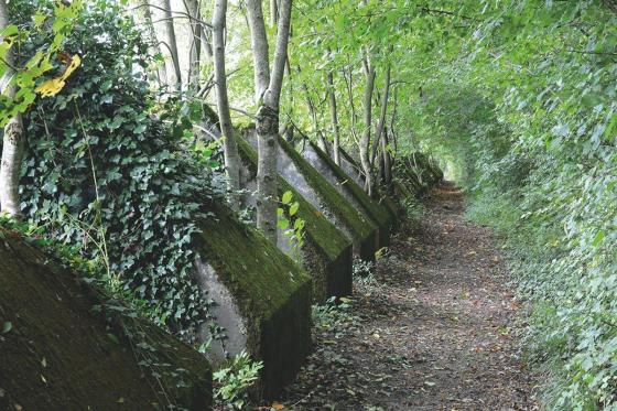 Mystery-Kurzurlaub mit dem Velo - 1 Nacht mit 3-Gang-Menü und Outdoor-Escape-Spiel 8 