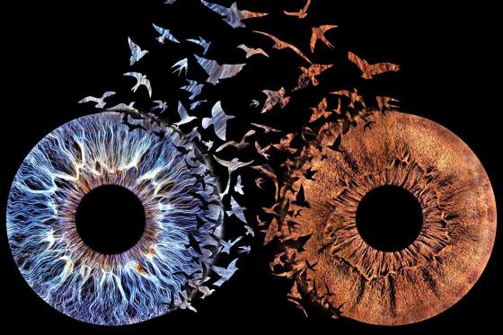 Iris Paar Fotografie - Love Design auf Echt-Glas 40x40 cm  