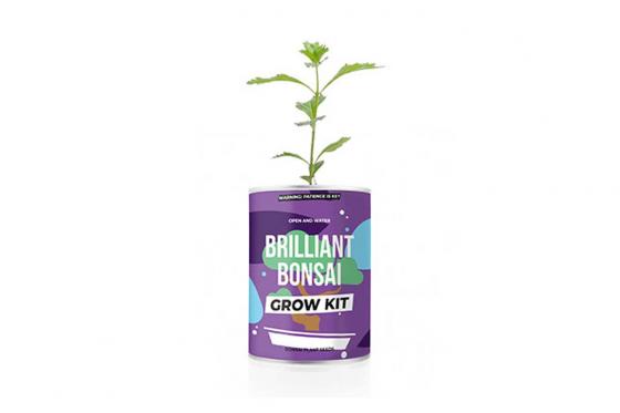 Bonsai Grow Kit - Pflanzen aus der Dose  