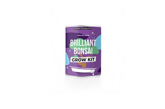 Bonsai Grow Kit - Pflanzen aus der Dose 1 