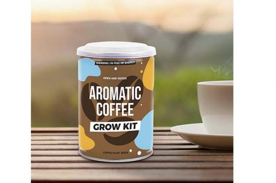 Café aromatique - Plante en conserve 1 