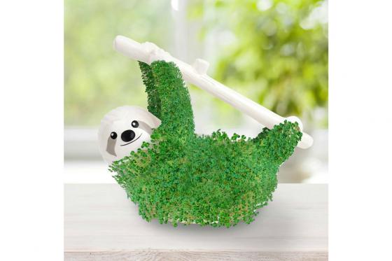 CHIA Faultier - Wachstums Pflanz-Set  