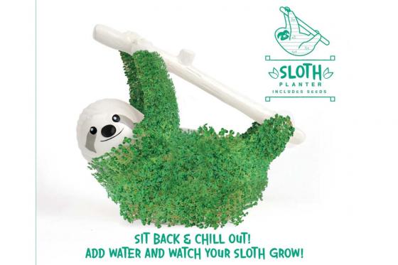 CHIA Faultier - Wachstums Pflanz-Set 1 