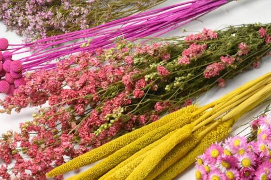 DIY Trockenblumenstrauss - XL Pink/Gelb 2 