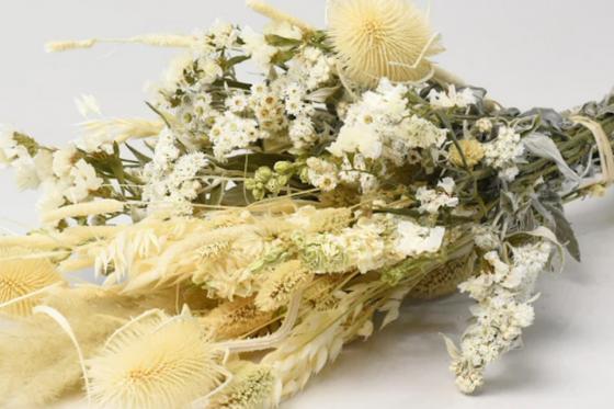 Trockenblumenstrauss - 60cm Natural Weiss 1 