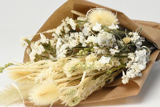 Trockenblumenstrauss - 60cm Natural Weiss 2 