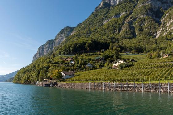 Kulinarik E-Biketour am Walensee -  inklusive Schifffahrt für zwei Personen 3 