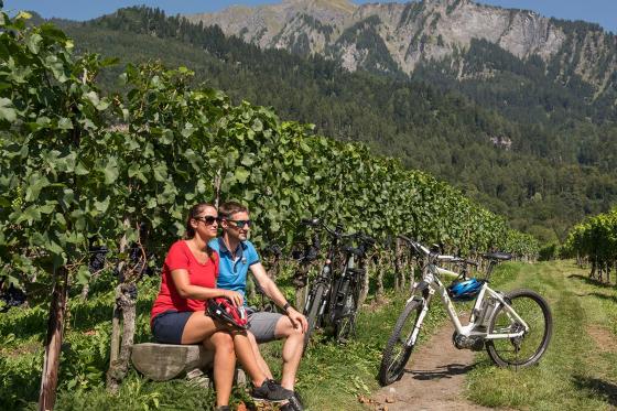 Kulinarik E-Bike Tour Bündnerland - für zwei Personen 3 