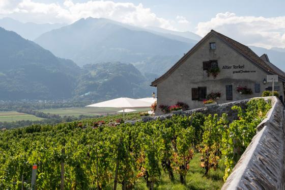 Kulinarik E-Bike Tour Bündnerland - für zwei Personen 4 