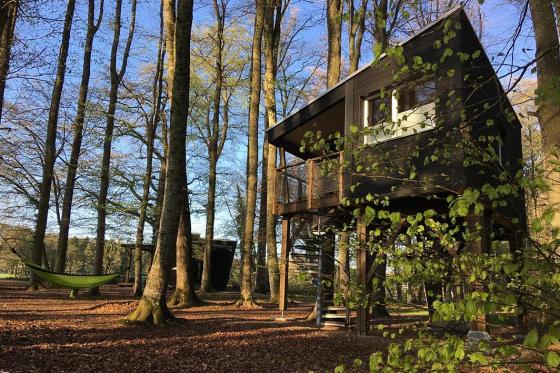 Waldhütten-Übernachtung - inkl. Frühstück für 2 Personen  