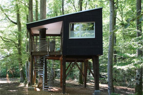 Waldhütten-Übernachtung - inkl. Frühstück für 2 Personen 3 