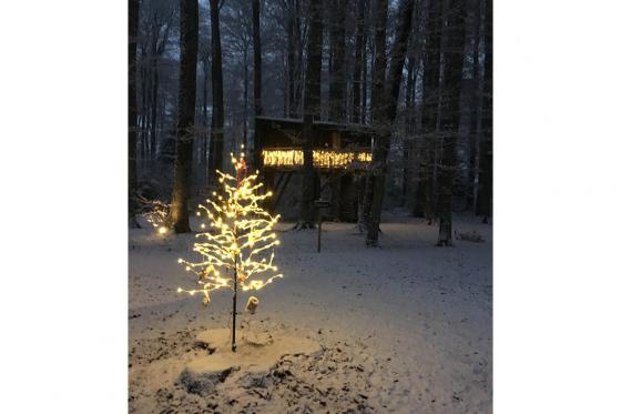 Waldhütten-Übernachtung - inkl. Frühstück für 2 Personen 4 