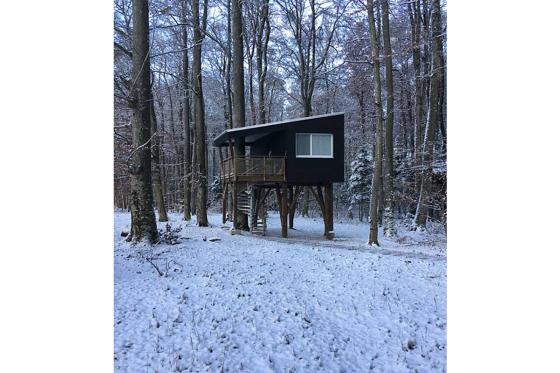 Waldhütten-Übernachtung - inkl. Frühstück für 2 Personen 5 