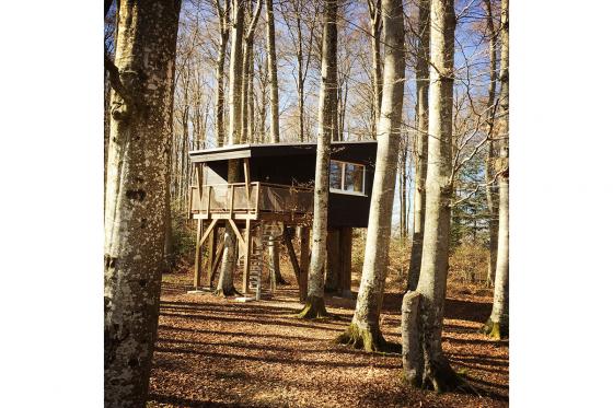 Waldhütten-Übernachtung - inkl. Frühstück für 2 Personen 14 