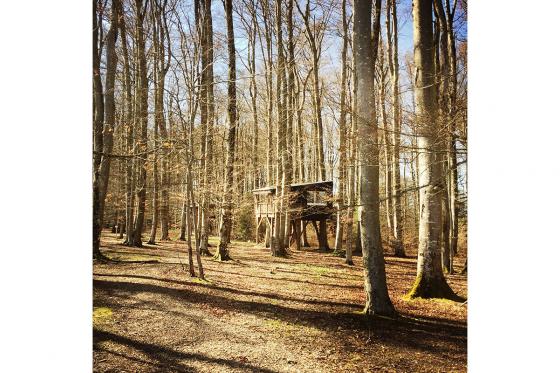 Waldhütten-Übernachtung - inkl. Frühstück für 2 Personen 16 